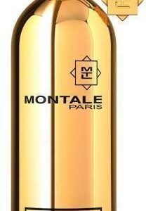 Montale Tester Aoud Leather Woda Perfumowana 100Ml