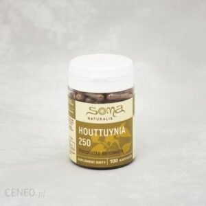 Nanga Houttuynia 250 - 100 Kaps