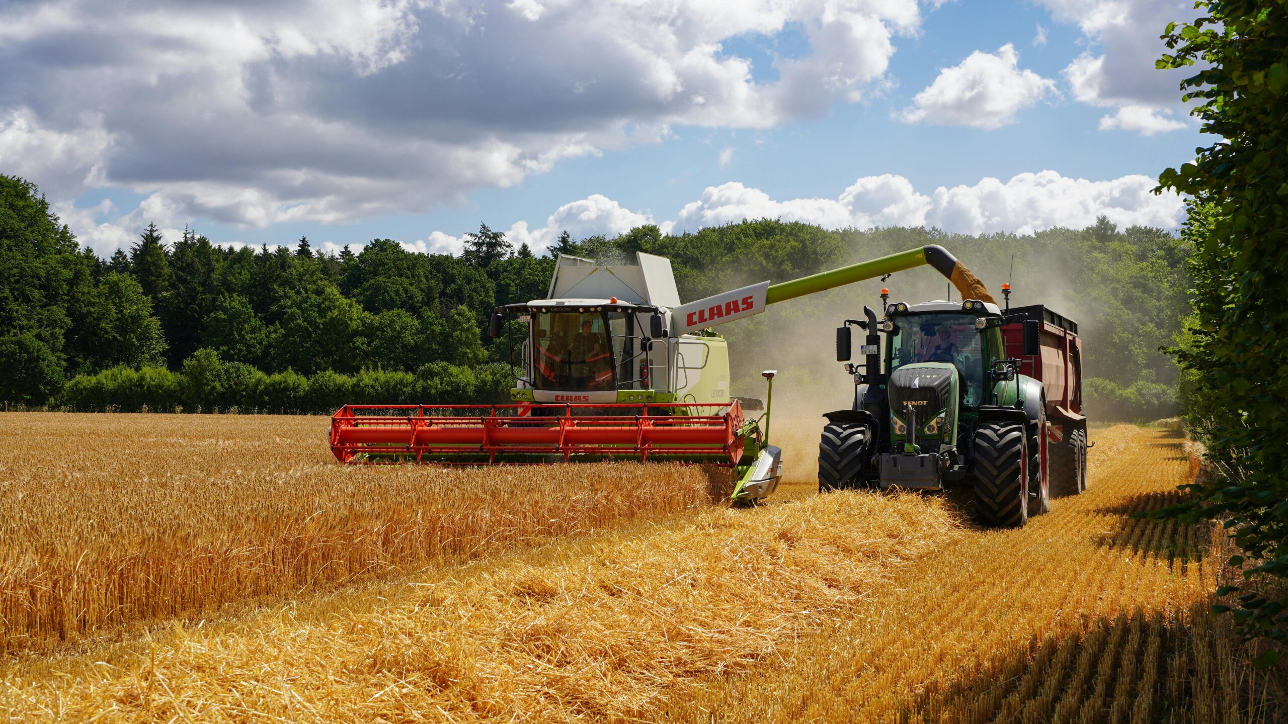 Dlaczego czujnik temperatury paliwa ma kluczowe znaczenie